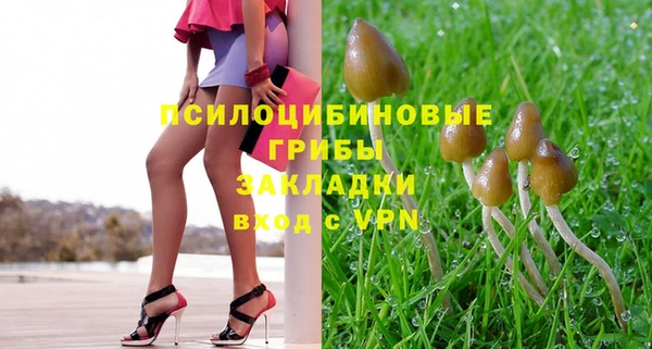 мяу мяу мука Алзамай