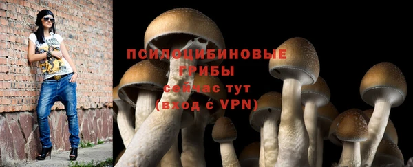 крисы Алексин