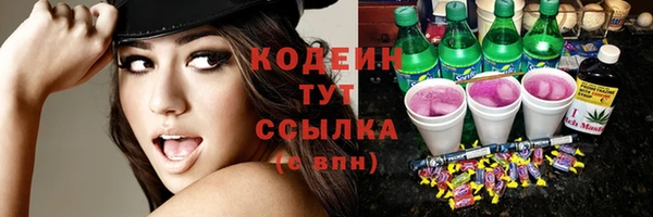 крисы Абаза